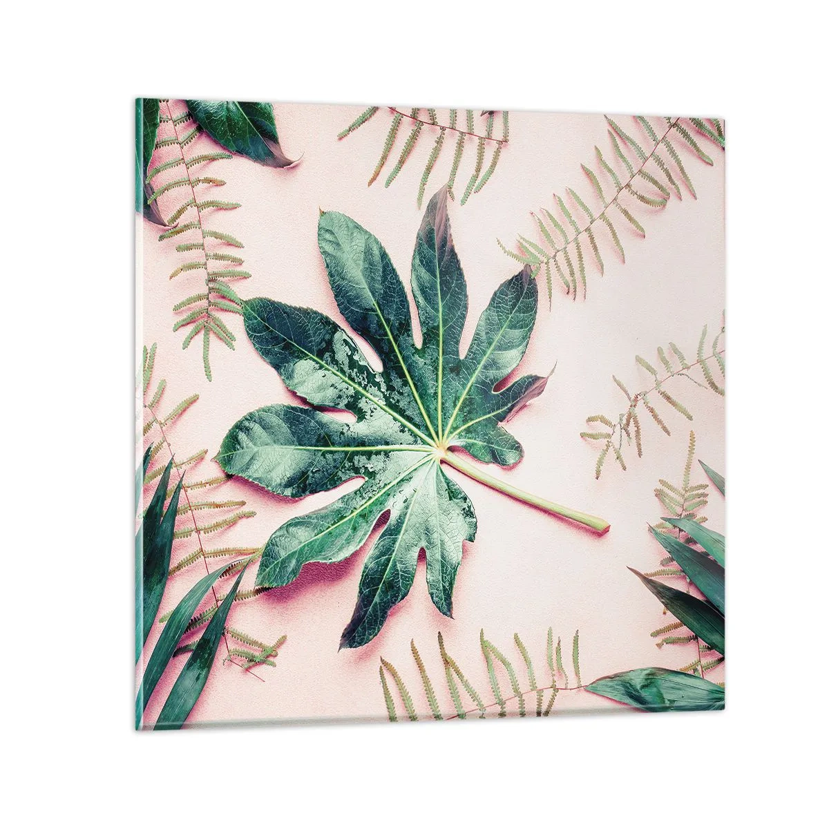 Glastavla - Bild på glas - Grönskans studie mot rosa bakgrund - 60x60 cm