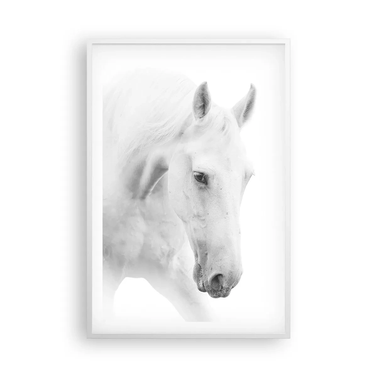 Affisch i vit ram - Är det vänskap…? - 61x91 cm