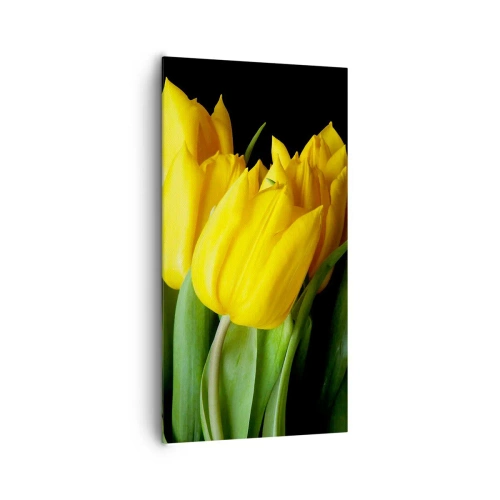 Canvastavla - Bild på duk - Skapad av rena solen - 65x120 cm