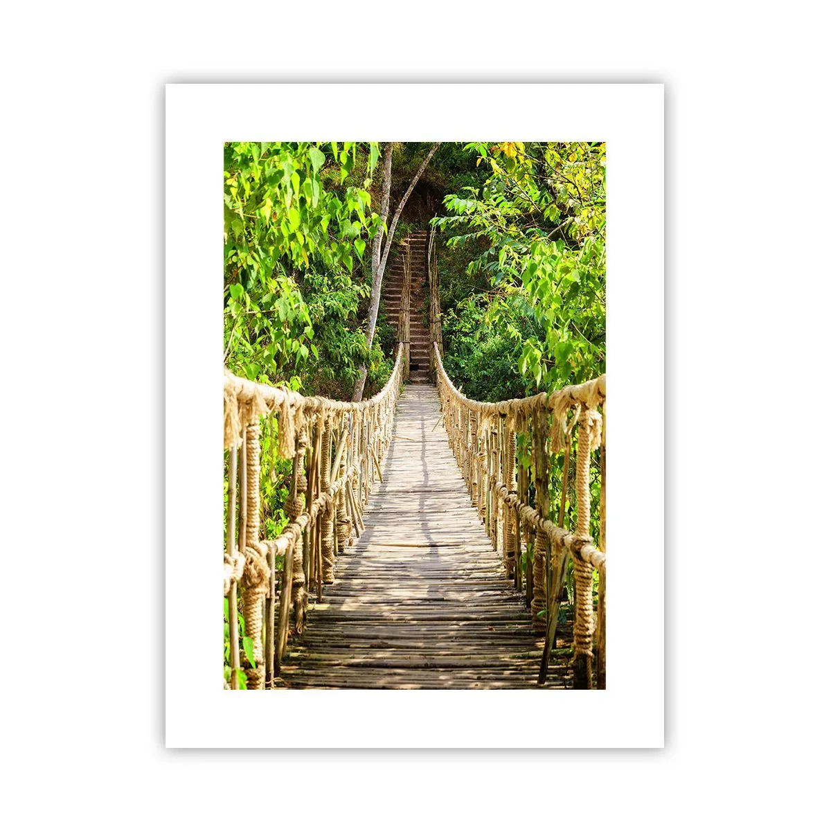 Affisch - Upphängd i grönskan - 30x40 cm