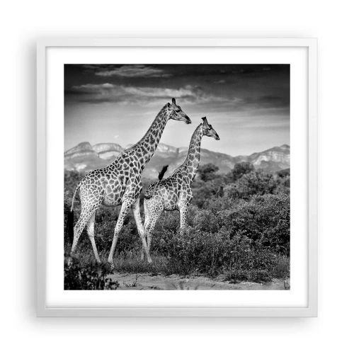 Affisch i vit ram - Högre klasser i Afrika - 50x50 cm