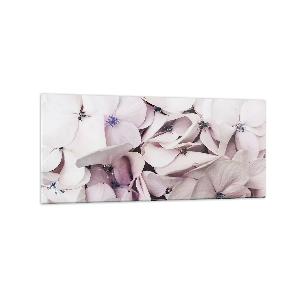 Glastavla - Bild på glas - I en flod av blommor - 120x50 cm