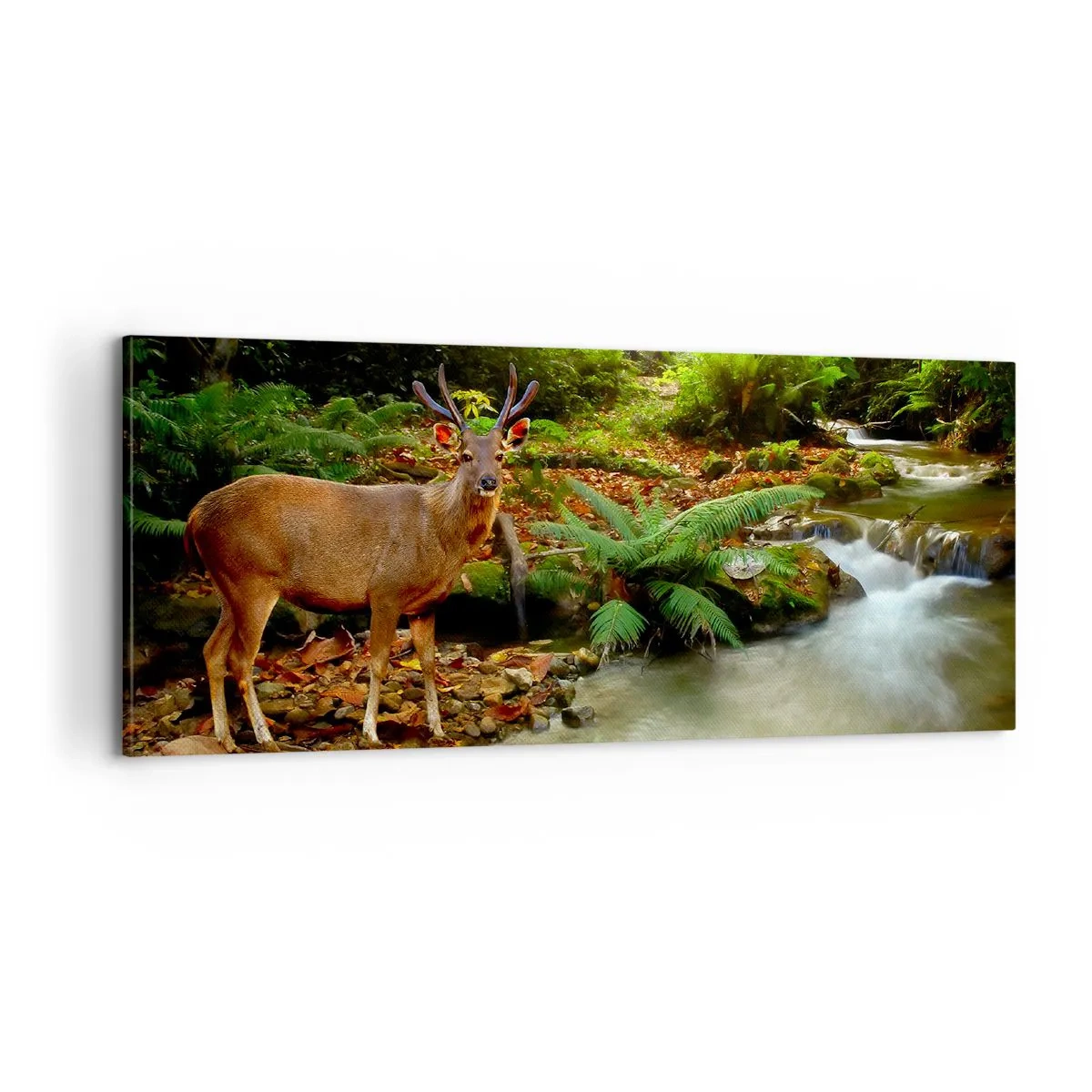 Canvastavla - Bild på duk - Välkommen till min värld - 100x40 cm