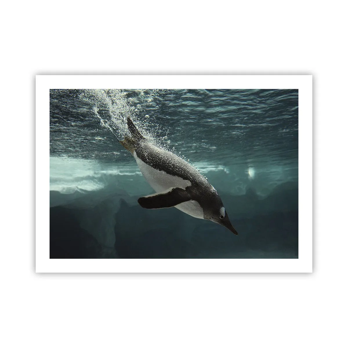 Affisch - Välkommen till min värld - 70x50 cm