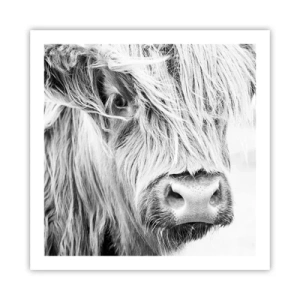 Affisch - Skotsk vildhet - 60x60 cm