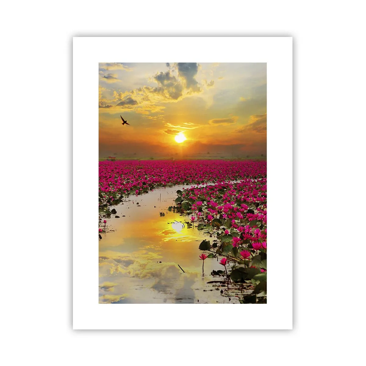 Affisch - Sjöns hemlighetsfulla liv - 30x40 cm