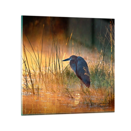 Glastavla - Bild på glas - Sluta fota - 70x70 cm