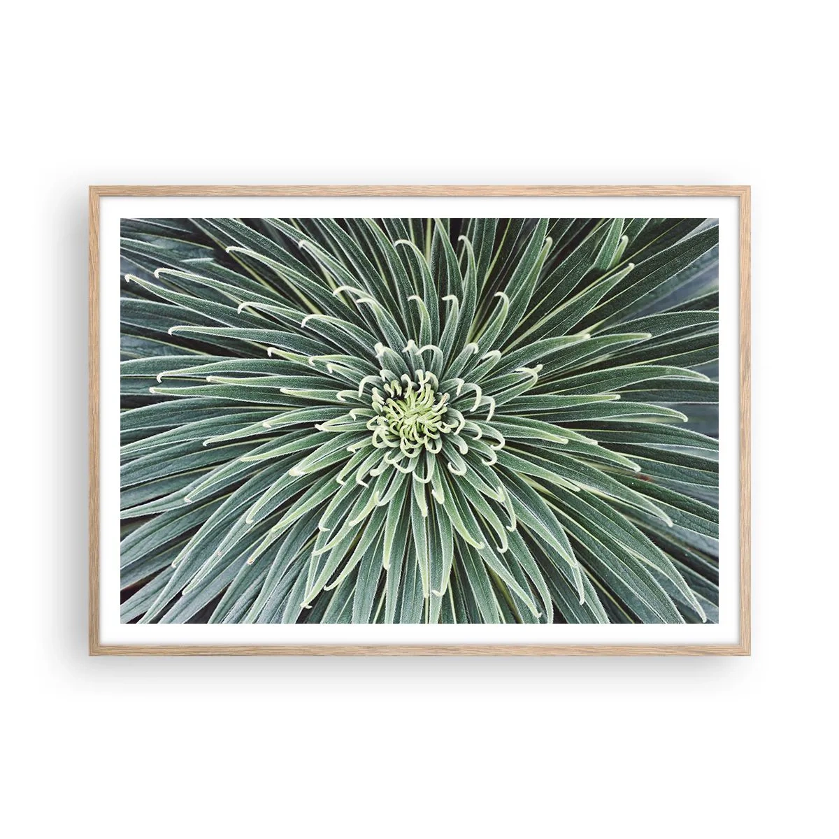 Affisch i ram av ljusek - Stjärna föds - 100x70 cm