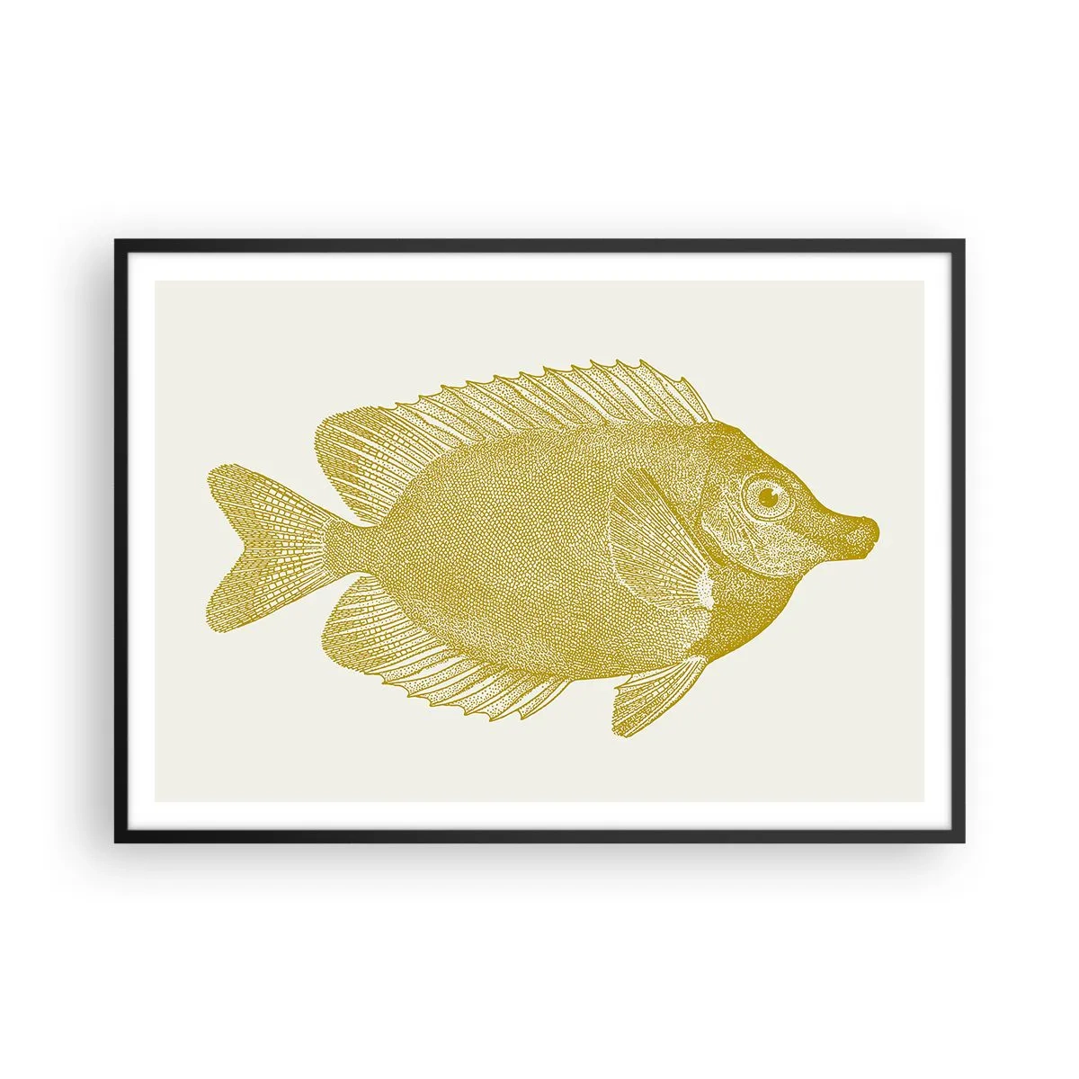 Affisch i svart ram - Fisk och det är allt - 100x70 cm