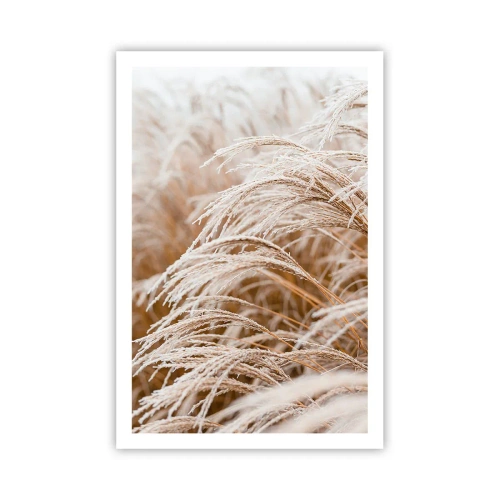 Affisch - Buga för höstsolen - 61x91 cm