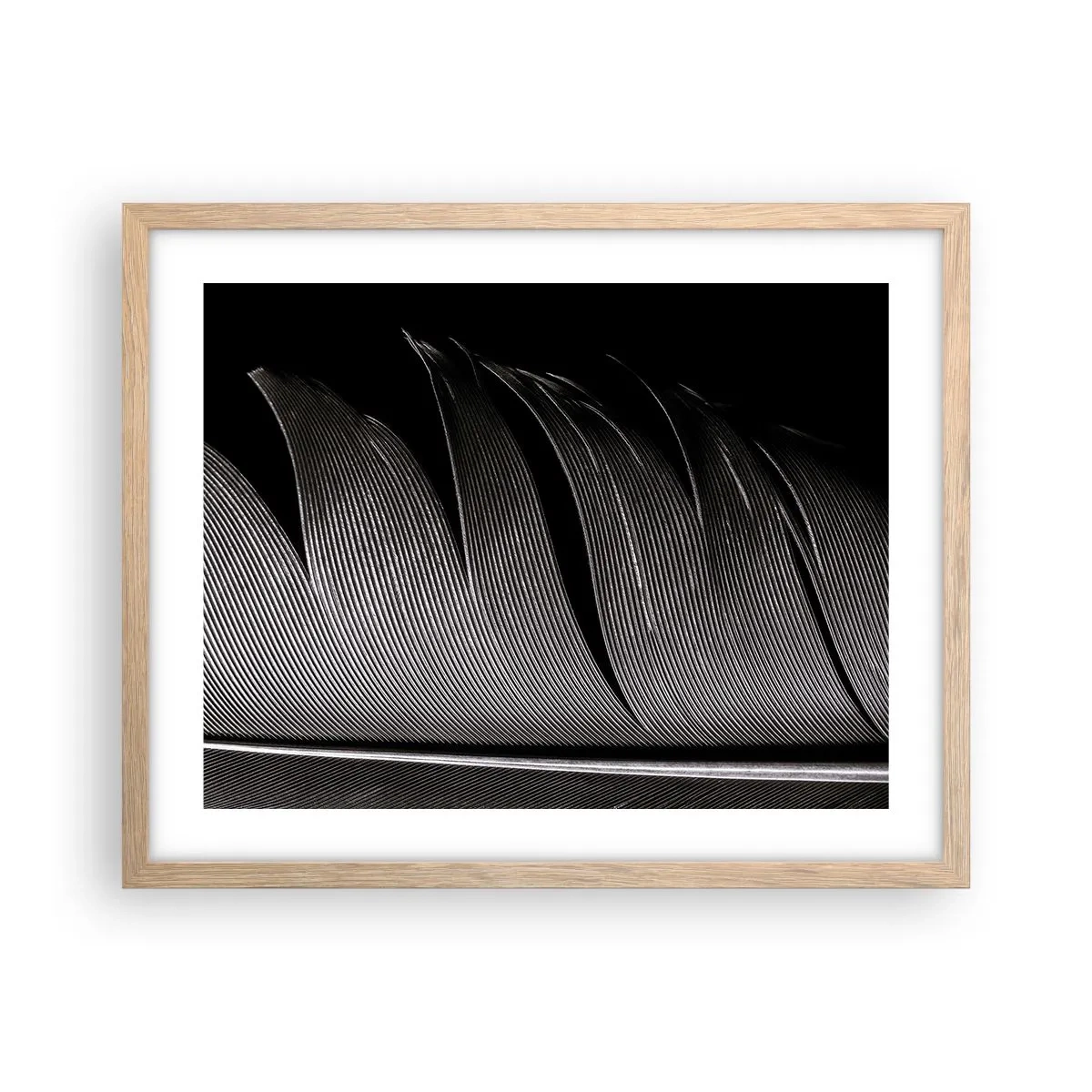 Affisch i ram av ljusek - Fjäder - en underbar konstruktion - 50x40 cm