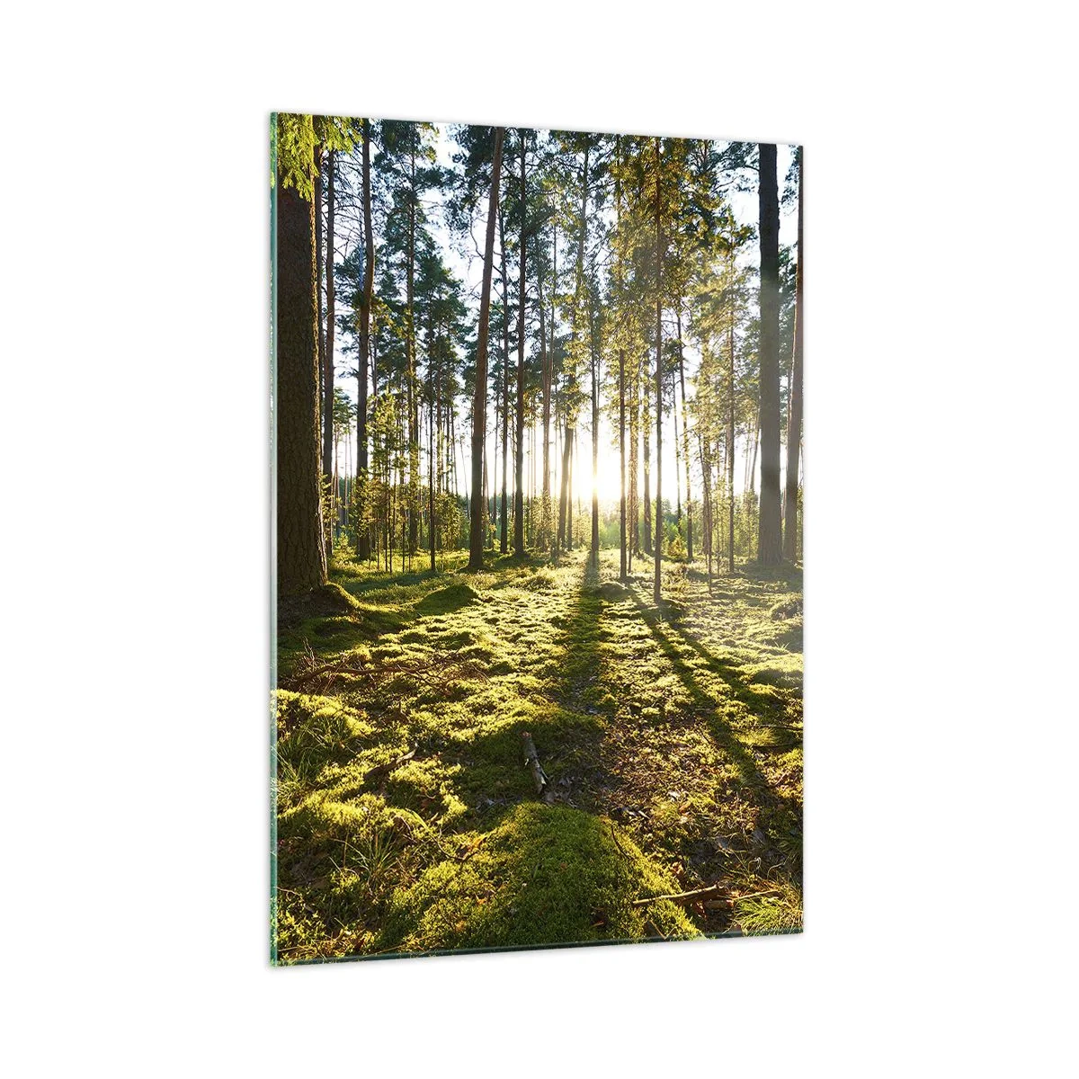 Glastavla - Bild på glas - ...Bortom sjunde skogen - 50x70 cm