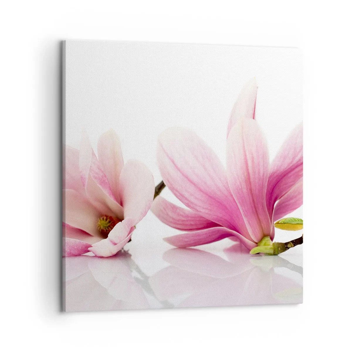 Canvastavla - Bild på duk - Lätta som vårkänslan - 50x50 cm