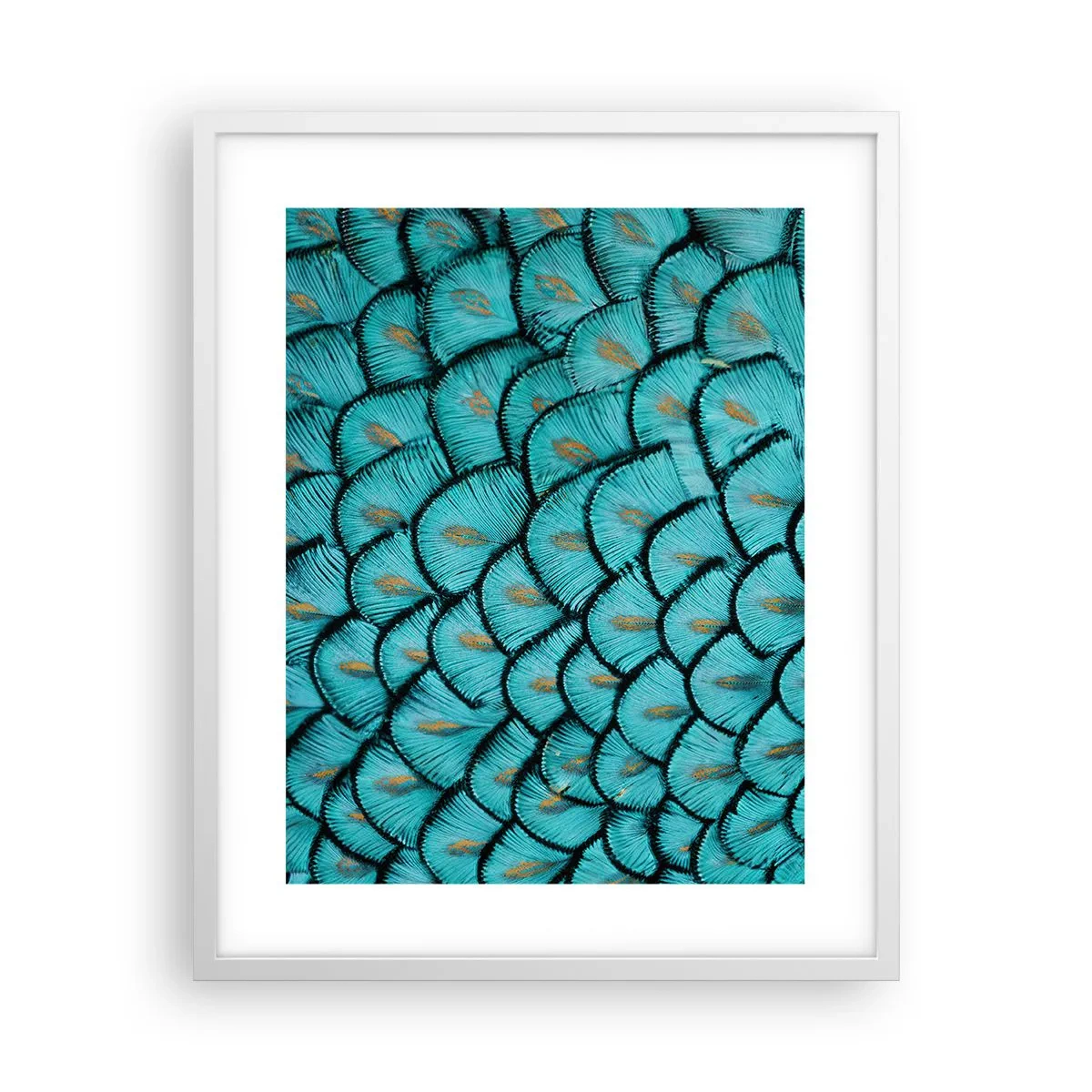 Affisch i vit ram - Den stora fjädergalan - 40x50 cm