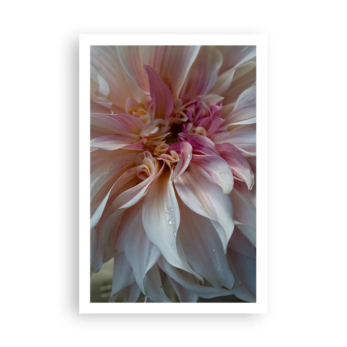 Affisch - Blommande friskhet - 61x91 cm