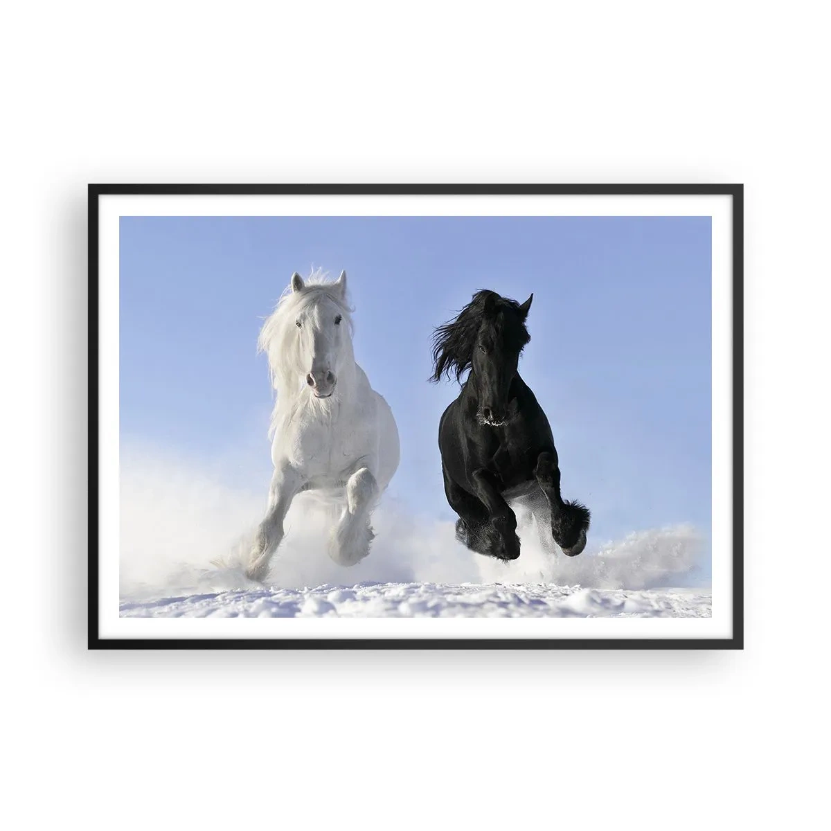 Affisch i svart ram - Svart-vit galopp - 100x70 cm