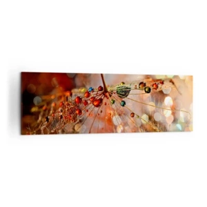 Canvastavla - Bild på duk - Trädda på spindelnät - 160x50 cm