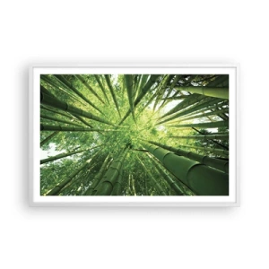 Affisch i vit ram - I en bambushage - 91x61 cm