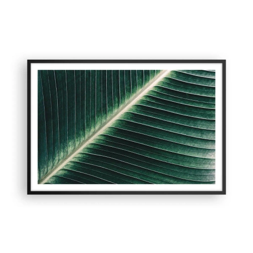 Affisch i svart ram - Naturens rytm - 91x61 cm