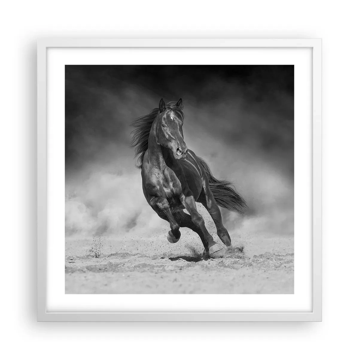 Affisch i vit ram - Värd själva emiren - 50x50 cm