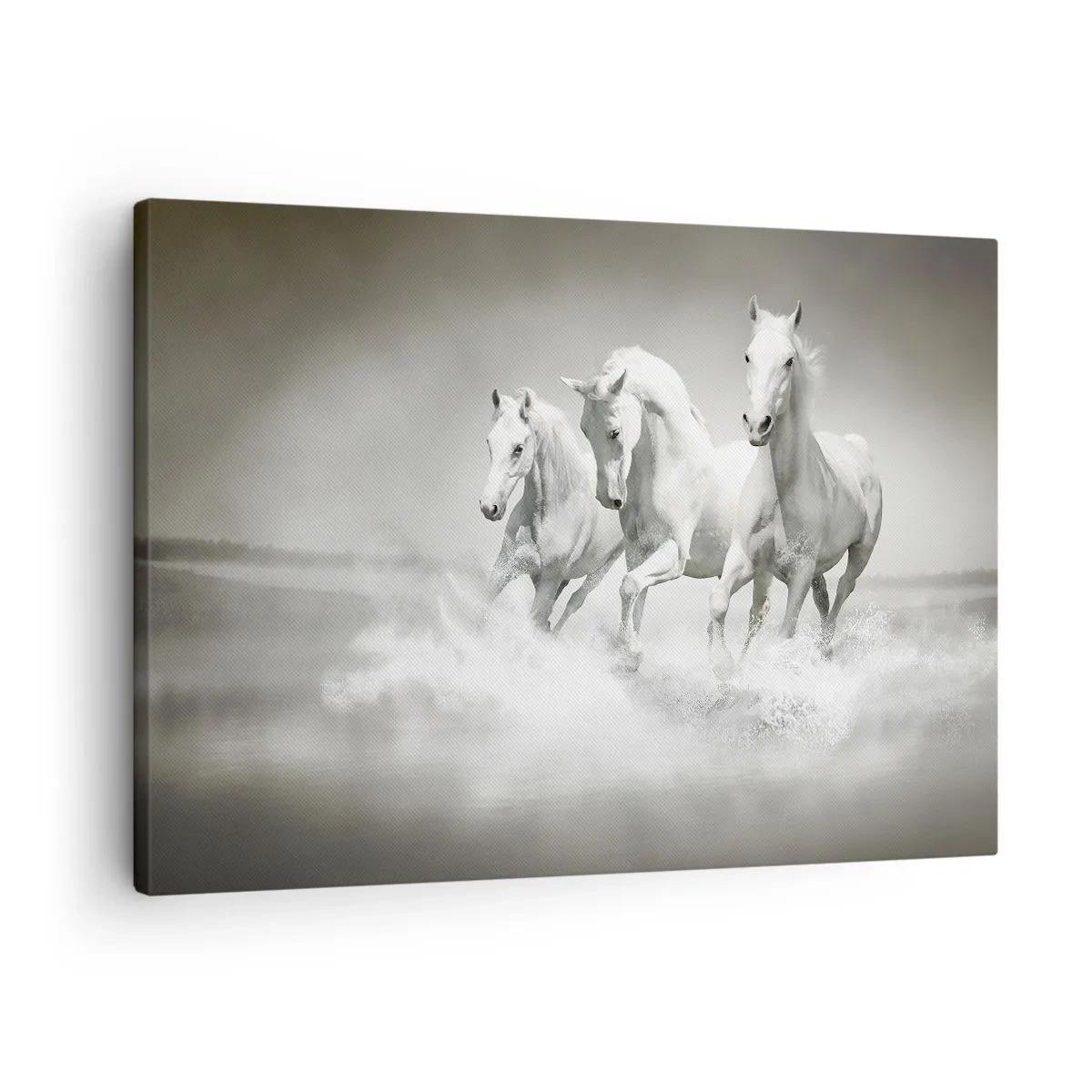Canvastavla - Bild på duk - Tre vita hästar galopperar genom vattnet - 70x50cm - Vit vildhet - Modern väggdekoration för vardagsrum och sovrum ARTTOR