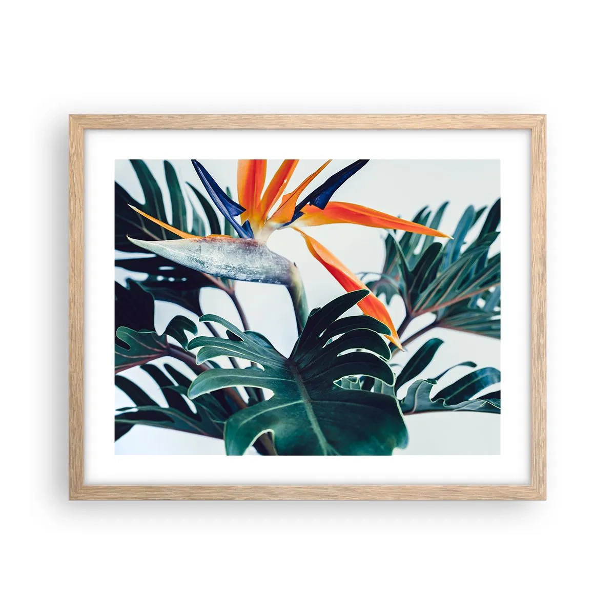 Affisch i ram av ljusek - Fågelbuske - 50x40 cm