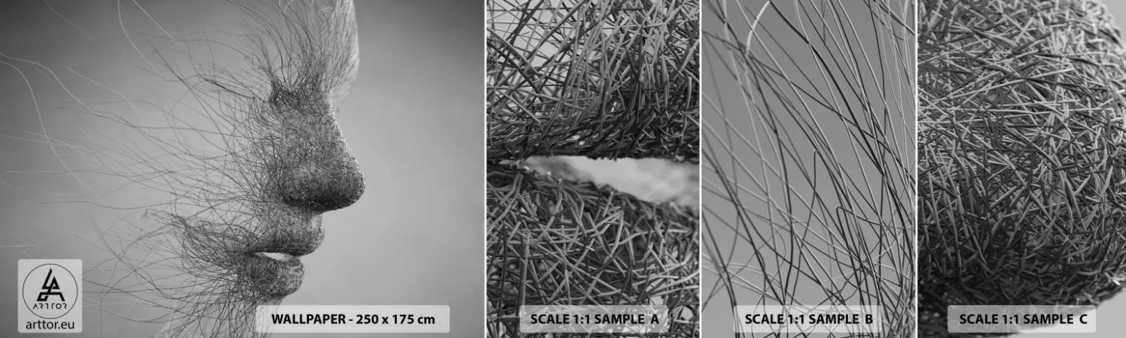 Provbit av självhäftande fototapet Deluxe Sticker - Vindens ande - Abstraktion, Kvinnans ansikte, Grafik - 100x30 cm