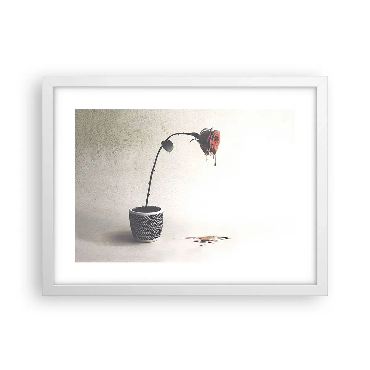 Affisch i vit ram - Rosa dolorosa - 40x30 cm