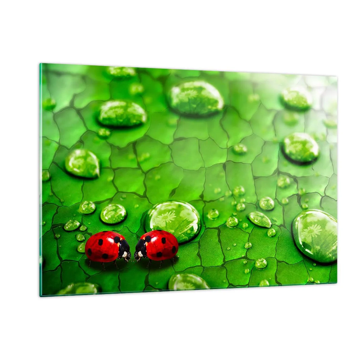 Glastavla - Bild på glas - Ett möte i det gröna - 120x80 cm
