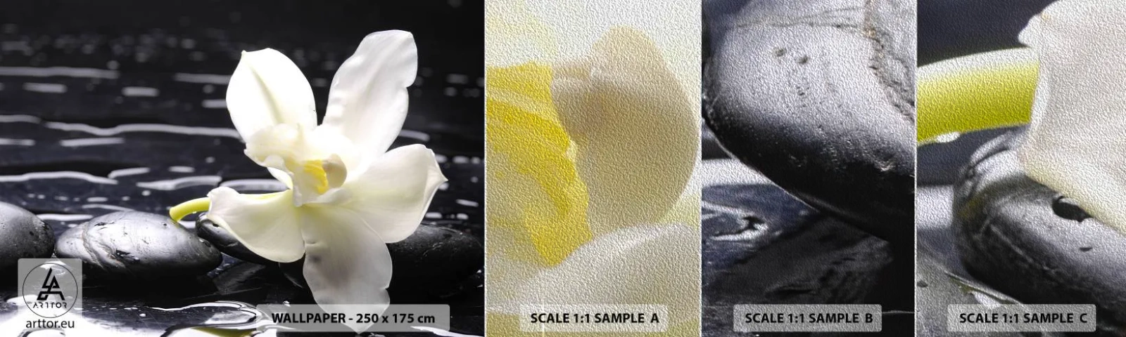 Provbit av fototapet Premium Sand - Ett studie i svart och vit - Blommor, Stenar, Orkide - 100x30 cm