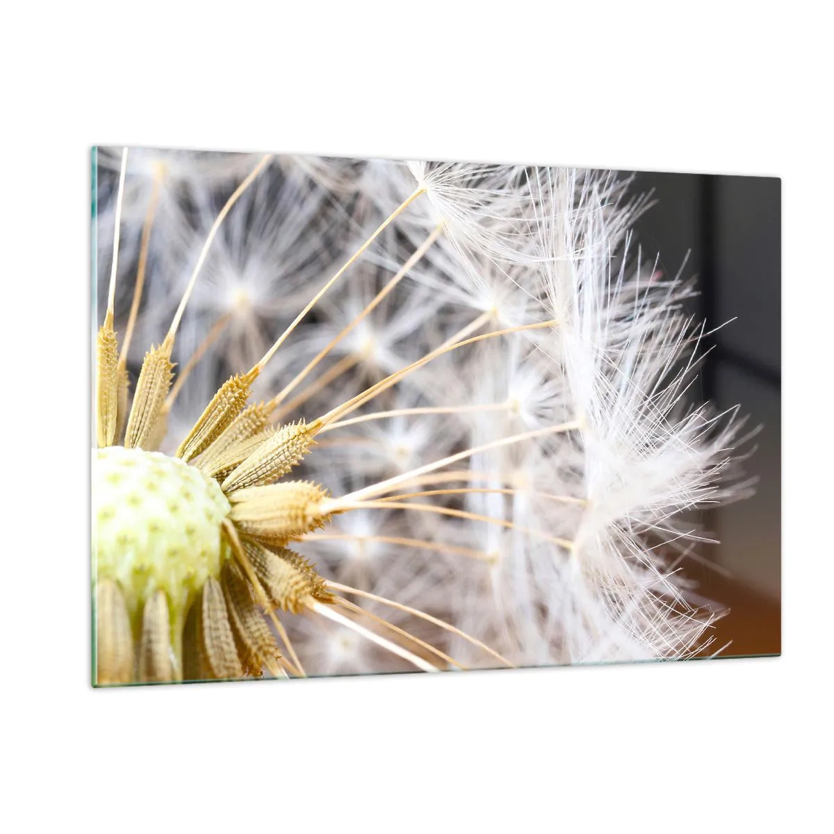 Glastavla - Bild på glas - Klar att lyfta - 120x80 cm