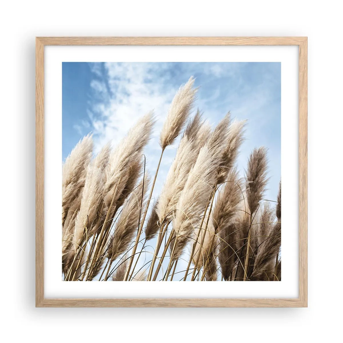 Affisch i ram av ljusek - Solig och blåsig smekning - 50x50 cm
