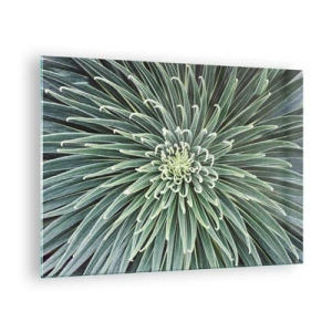 Glastavla - Bild på glas - Symmetrisk rosett av gröna blad i makrofotografering - 70x50cm - Stjärna föds - Modern väggdekoration för vardagsrum och sovrum ARTTOR