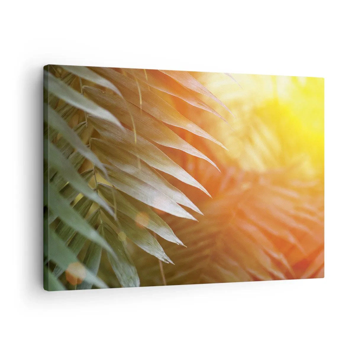 Canvastavla - Bild på duk - Palmblad i solnedgångens strålar - 70x50cm - En morgon i djungeln - Modern väggdekoration för vardagsrum och sovrum ARTTOR