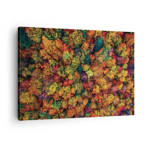 Canvastavla - Bild på duk - Färgglada trädkronor i höstpaletten - 70x50cm - Höstträdens bukett - Modern väggdekoration för vardagsrum och sovrum ARTTOR