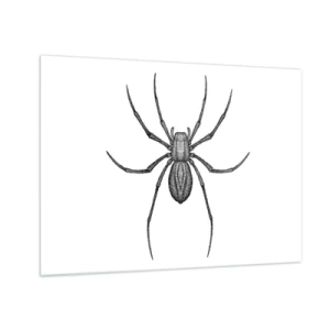 Glastavla - Bild på glas - Retrostilillustration av en svart spindel på en vit bakgrund - 70x50cm - Oroväckande precision - Modern väggdekoration för vardagsrum och sovrum ARTTOR