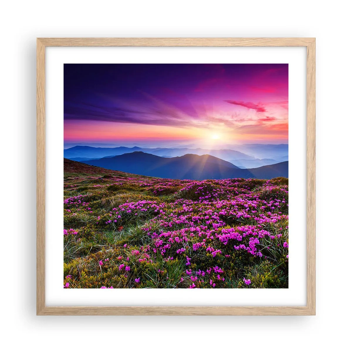 Affisch i ram av ljusek - Doftande örter - 50x50 cm