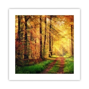 Affisch - Skogsguld tystnad - 40x40 cm