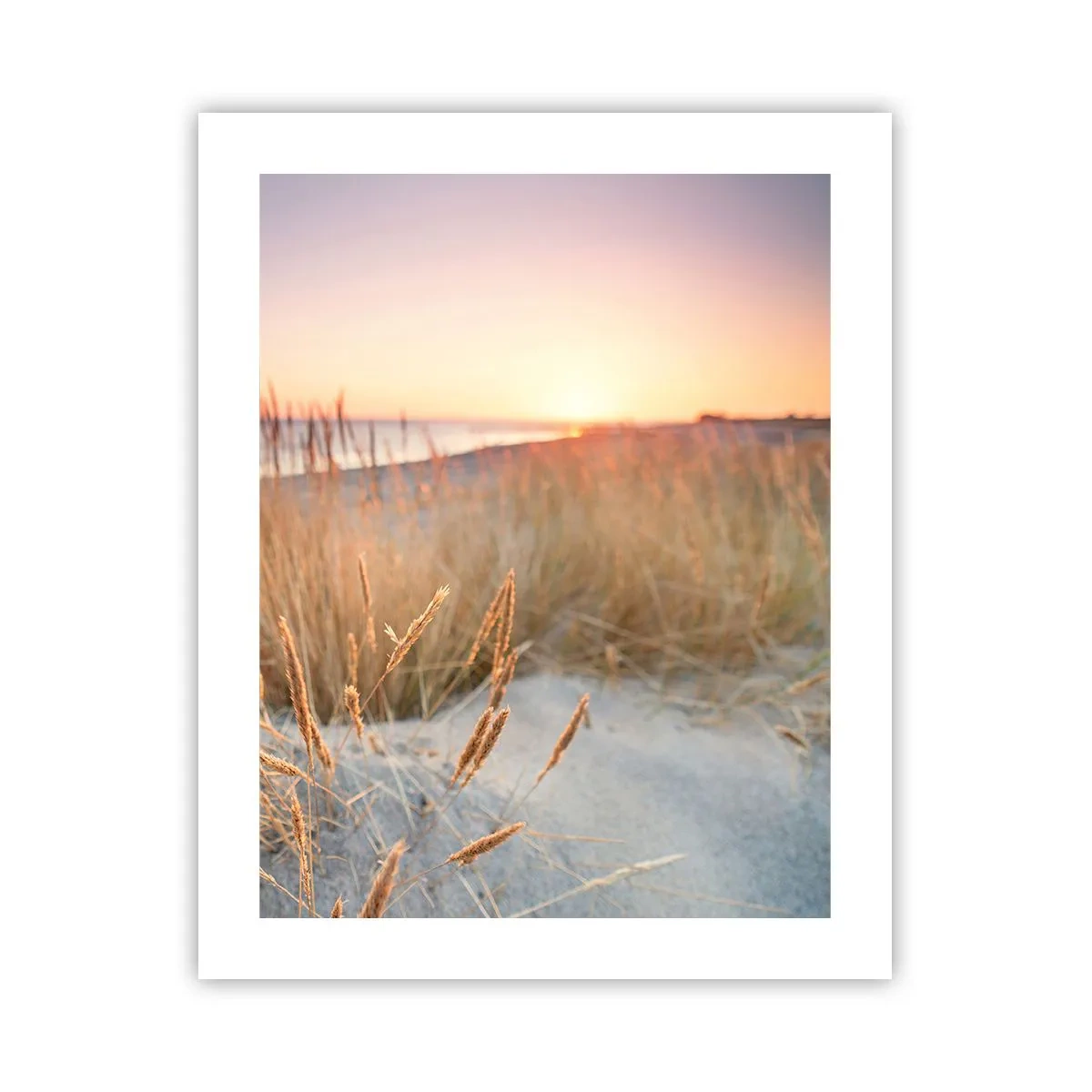 Affisch - Östersjövaggvisa - 40x50 cm