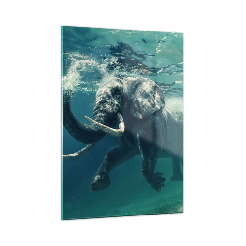 Glastavla - Bild på glas - Alla tycker om att simma - 50x70 cm