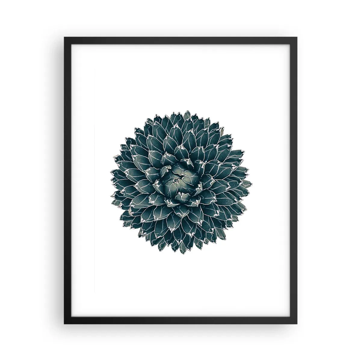 Affisch i svart ram - Öknens stjärna - 40x50 cm