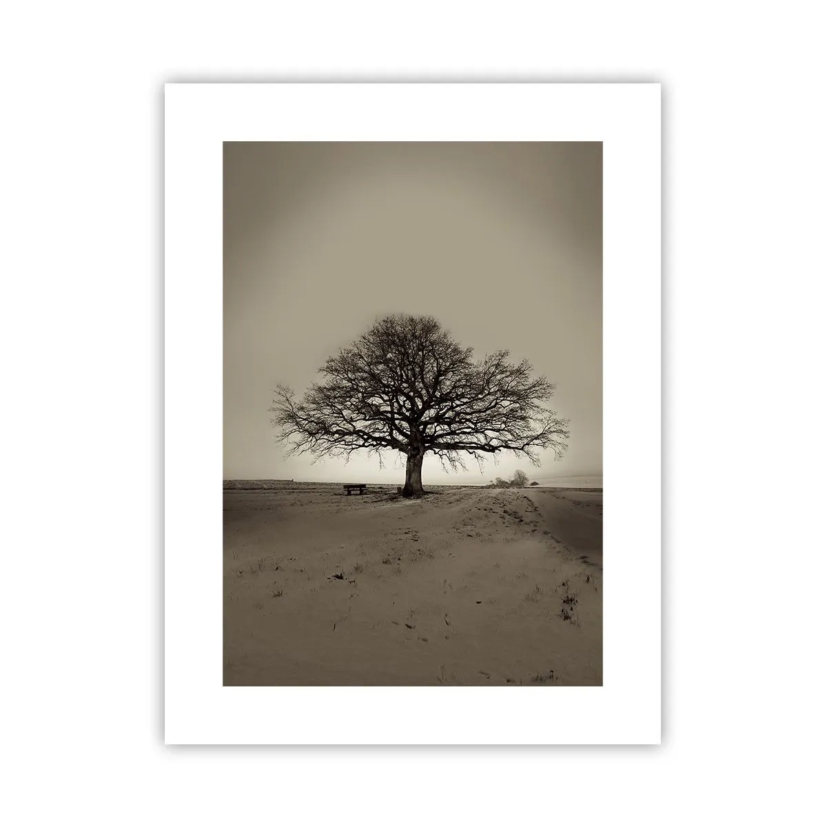 Affisch - Härifrån till evighet - 30x40 cm