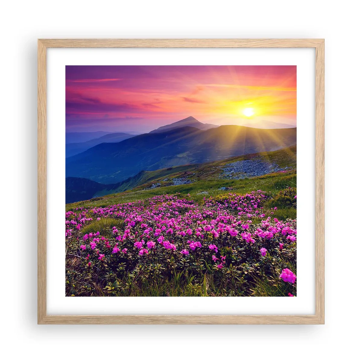 Affisch i ram av ljusek - … Bergtallen doftar och örterna luktar runt omkring - 50x50 cm