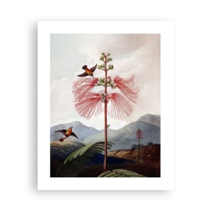 Affisch - I ett tropiskt paradis - 40x50 cm