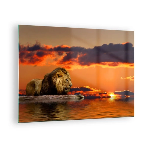 Glastavla - Bild på glas - Ett lejon mot bakgrund av den nedgående solen - 70x50cm - Naturens kung - Modern väggdekoration för vardagsrum och sovrum ARTTOR