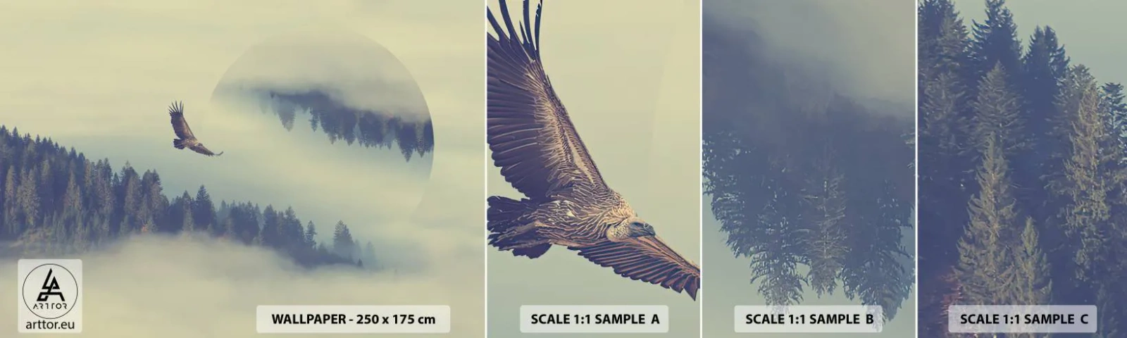 Fototapet Prov Standard Eco - Örnens skugga - Örn, Fågel, Skog - 100x30 cm