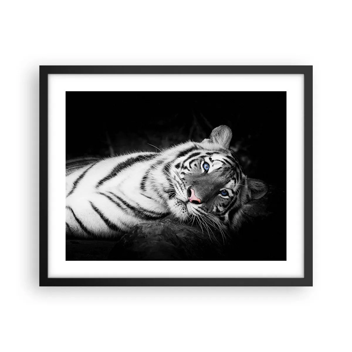 Affisch i svart ram - Vildhet och lugn - 50x40 cm
