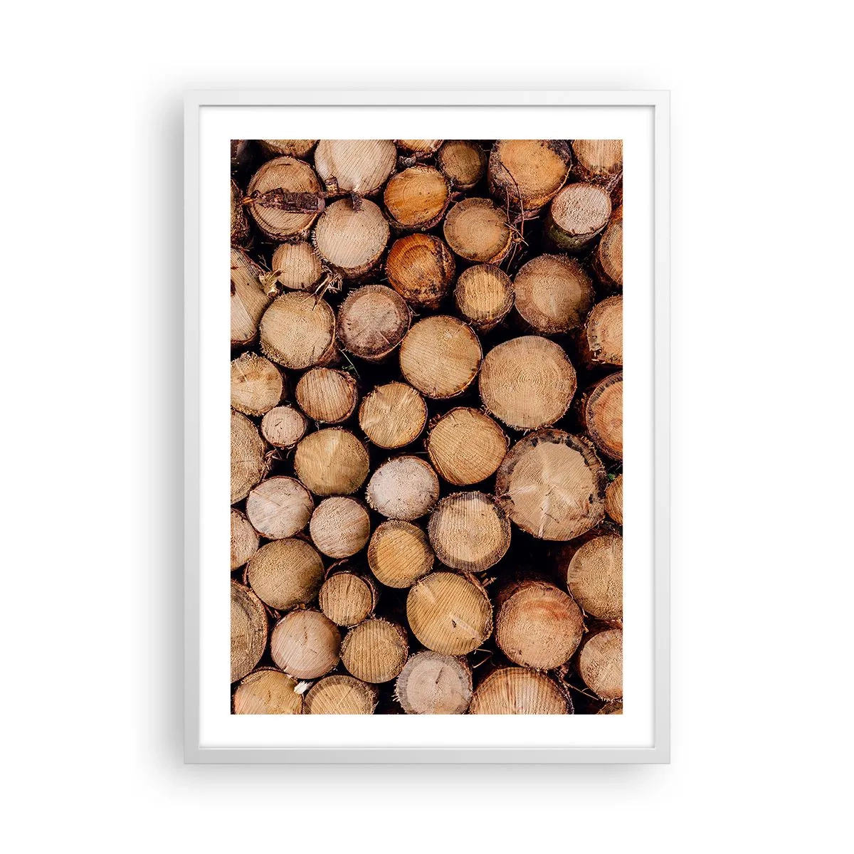 Affisch i vit ram - Ny början - 50x70 cm