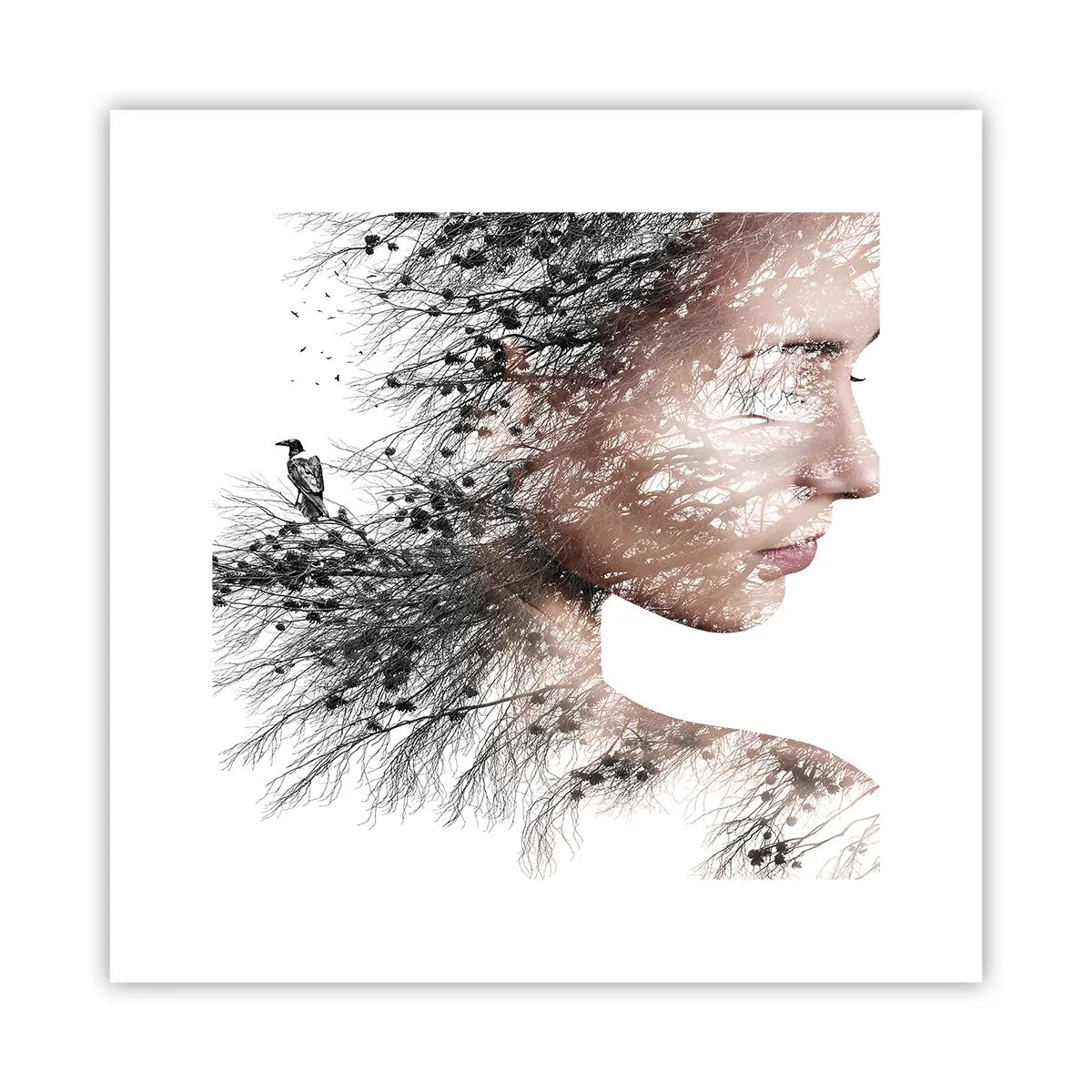 Affisch - Skogens ande - 30x30 cm