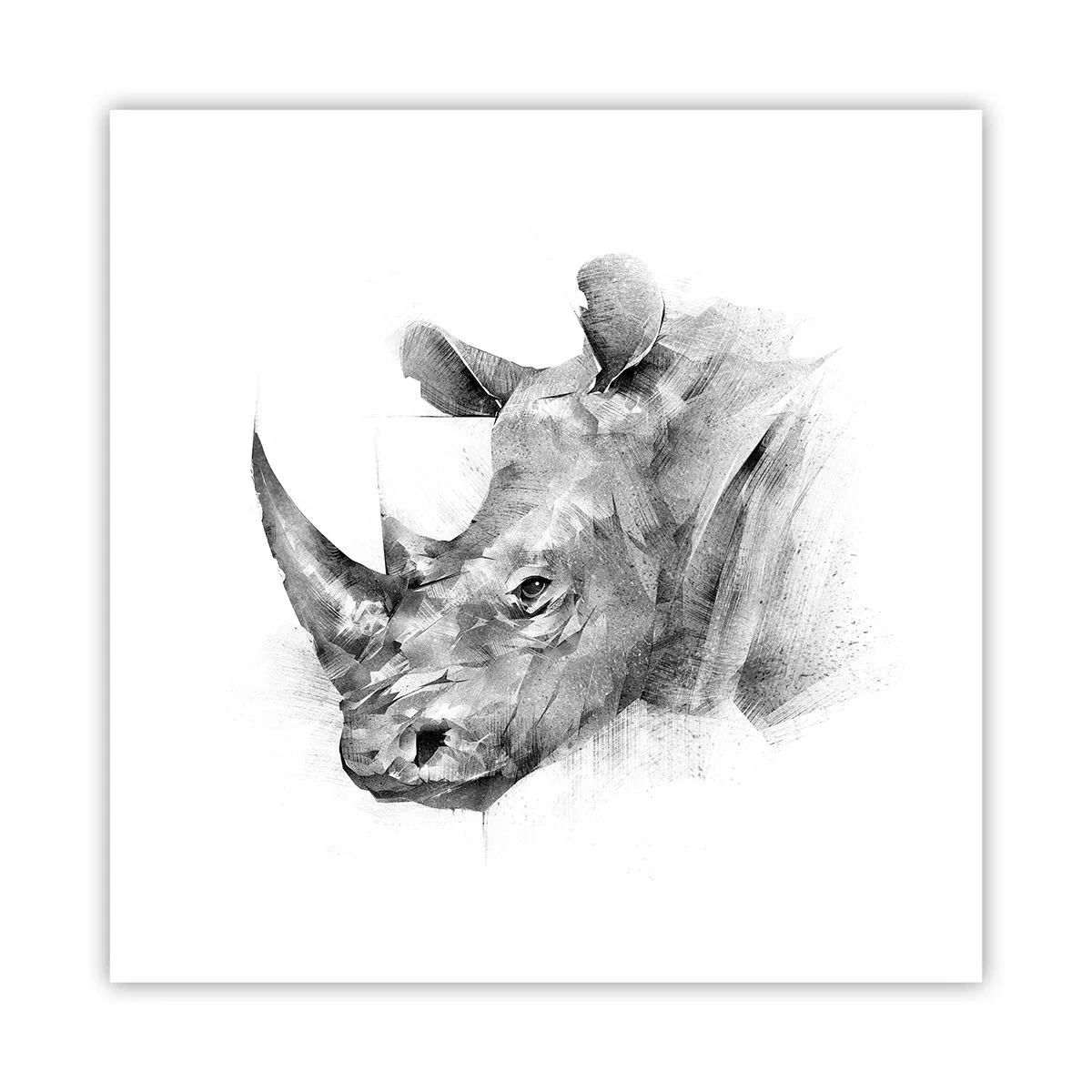 Affisch - Afrikansk porträtt - 40x40 cm